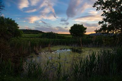 Прикрепленное изображение: IMG_8325.jpg